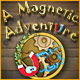A Magnetic Adventure game