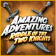 Amazing Adventures Riddle of the Two Knights game