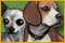 Best in Show Solitaire