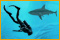 Dive: The Medes Islands Secret