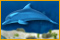 Dolphin Dice Slots
