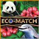 Eco-Match game