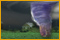 Nancy Drew: The Trail of the Twister