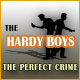 The Hardy Boys - The Perfect Crime game