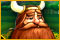 Viking Brothers