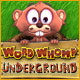 Word Whomp  Underground game