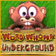 Word Whomp Underground game