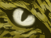 Nightshift Legacy - The Jaguars Eye